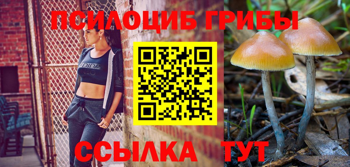 Псилоцибиновые грибы мицелий Сергиев Посад