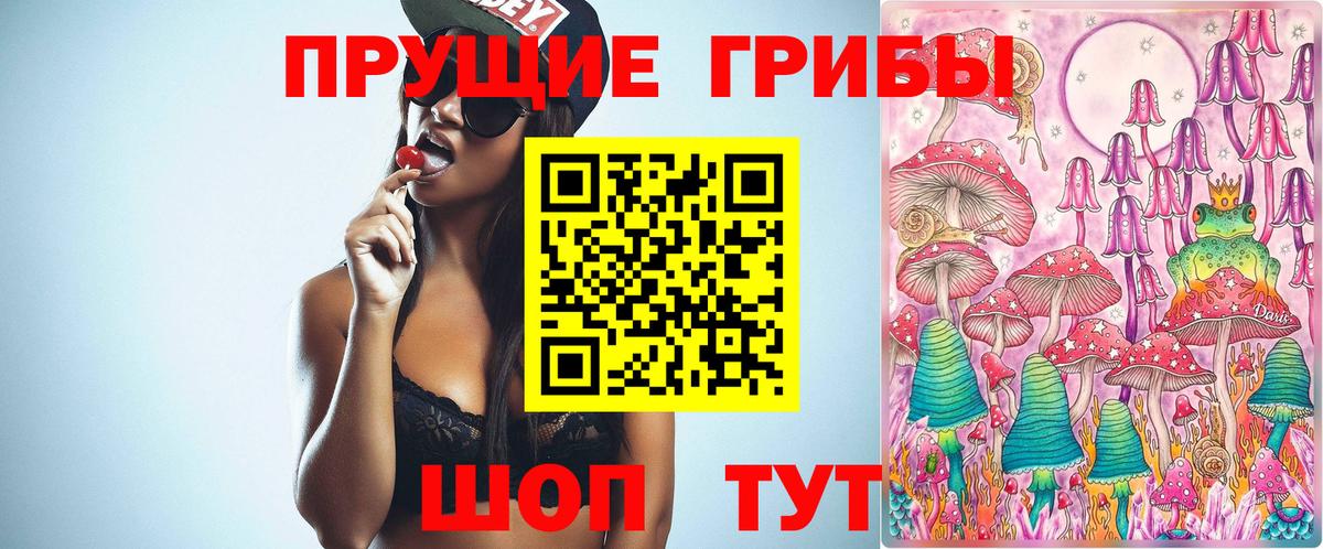 Псилоцибиновые грибы MAGIC MUSHROOMS  Вход с VPN  Сергиев Посад  Псилоцибиновые грибы MAGIC MUSHROOMS 